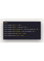 Bug Bounty Tips .pdf